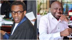 Ahmednasir Abdullahi Sues Donald Kipkorir for Defamation on Twitter: "Lowered My Dignity"