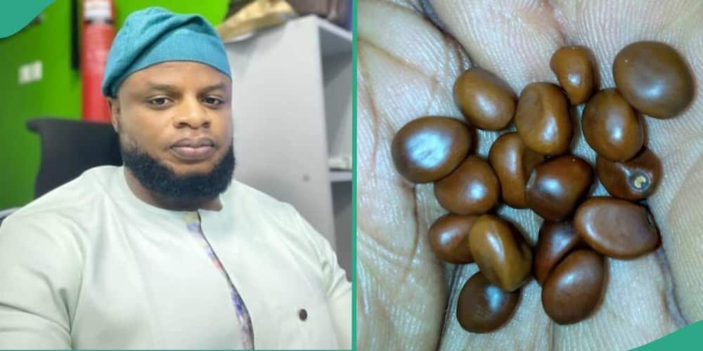 Man shares photo of unknown seeds.