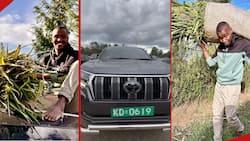 Samidoh Uses Newly Acquired Land Cruiser Kakadu to Carry Napier Grass at Farm: "Unacheza”