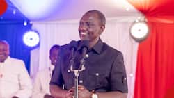 William Ruto Announces Google, Other International Tech Companies to Employ up To 300k Kenyans