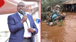 Senator Cherargei Defends Sakaja over Flood Situation: "It's a Historical Issue from 1963"
