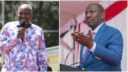 Nick Salat Ditches Azimio for Kenya Kwanza after Fallout with Gideon Moi: "Please Accept Me"