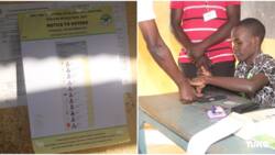 Moses Wetang'ula Succession: Polls Open in Bungoma Senatorial Contest