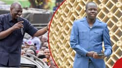 MP Reuben Kiborek Kicked Out of Parliament for Dressing Up in Kaunda Suit Resembling Ruto's