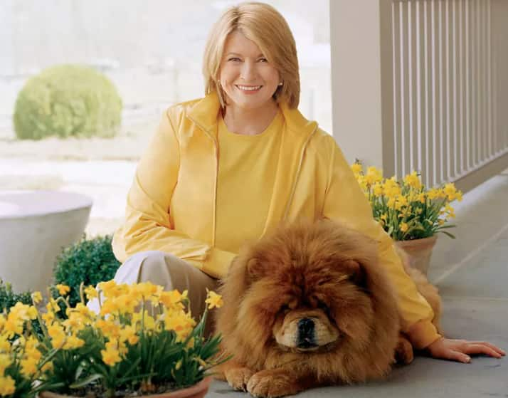 All of Martha Stewart's dogs through the years (photos Tuko.co.ke