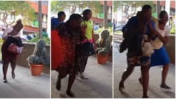 Man Startles Nairobians by Camouflaging as Plant in Hilarious Prank