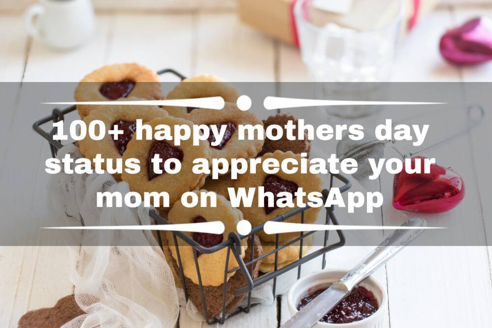 100+ happy mothers day status to appreciate your mom on WhatsApp