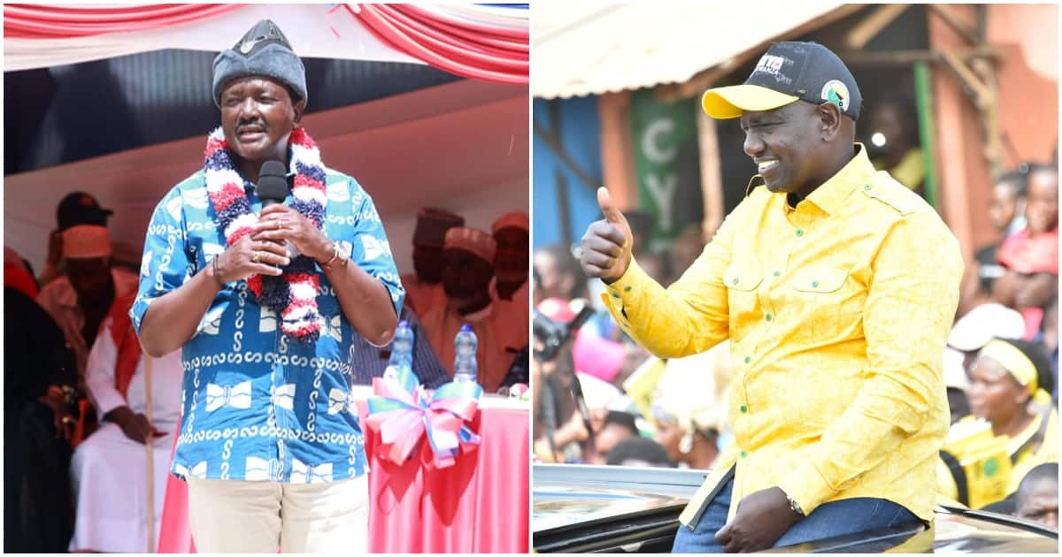 William Ruto Asks Kalonzo Musyoka To Ditch Azimio La Umoja For Kenya ...