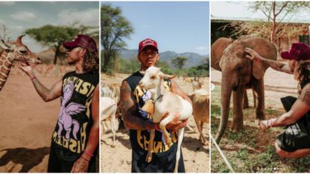 Lewis Hamilton: 7 Magical Photos of F1 Legend Enjoying His Vacation in Kenya