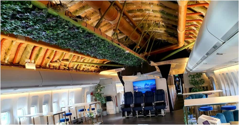 Transformation: Boeing 747 Plane Turned into Party and Event Venue, Clients Pay Over Ksh 147k per Hour