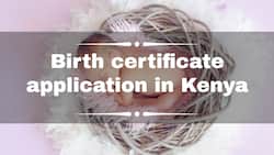 Birth certificate application and replacement in Kenya