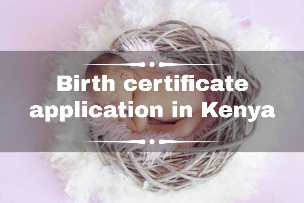 Birth certificate application