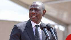 Kenyan Treasury's Report Shows William Ruto's Govt Borrowed KSh 223.5b in 5 Months