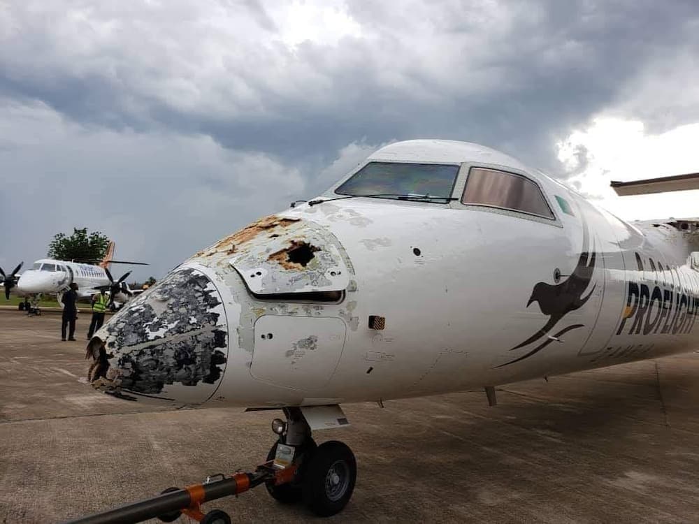 Pilot hailed for safely landing plane struck by lightning, hailstone mid-air