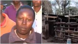 Nakuru Family Relocates to Goats' Shed after Fire Razes Down Their House: "Watoto Tumepea Jirani"