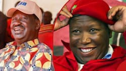 No Amount of Rigging Will Stop Raila Odinga from Being President If He's Meant to Be, Julius Malema