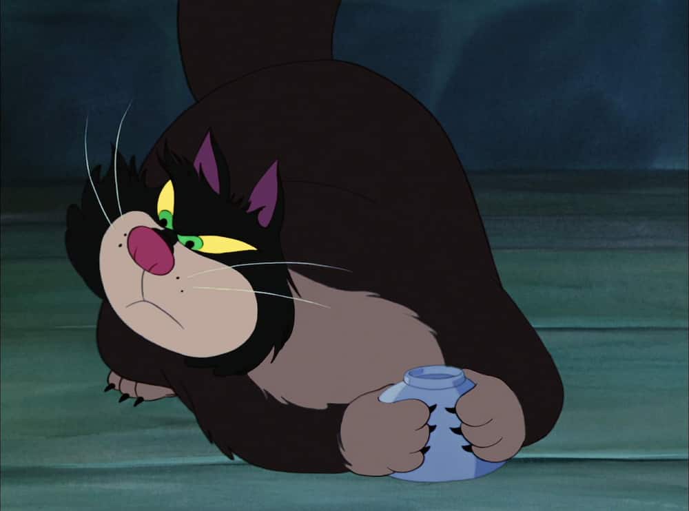 Disney movies with cats