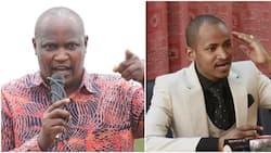 John Mbadi Sneers at Babu Owino's Quest to Be PAC Chair: "Ask Yourself If You Can Deliver"