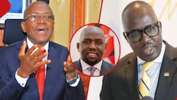 Khalwale Lauds PS Korir Singoei for Repremanding Kingi, Murkomen over Diplomatic Blunders: "Keep Up"