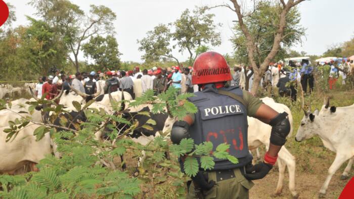 Baringo Chief Threatens to Resign as Bandits Heighten Attacks: "Sitaki Kufa"