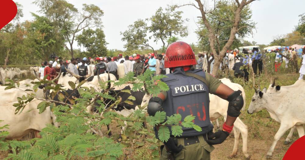 A police officer looking on locals in a banditry-prone area.