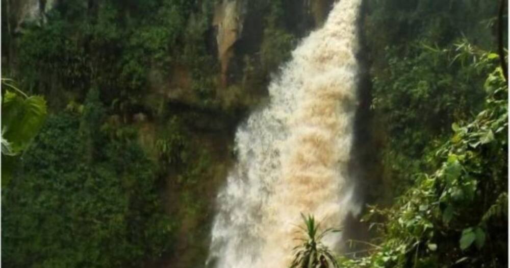 A waterfall. Photo: NatureSprings.