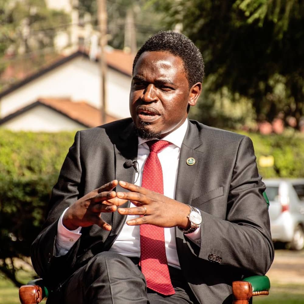 Nelson Havi Amlima Musalia Mudavadi Bila Huruma, Adai ni Mvivu: "Hawezi Kuongoza"