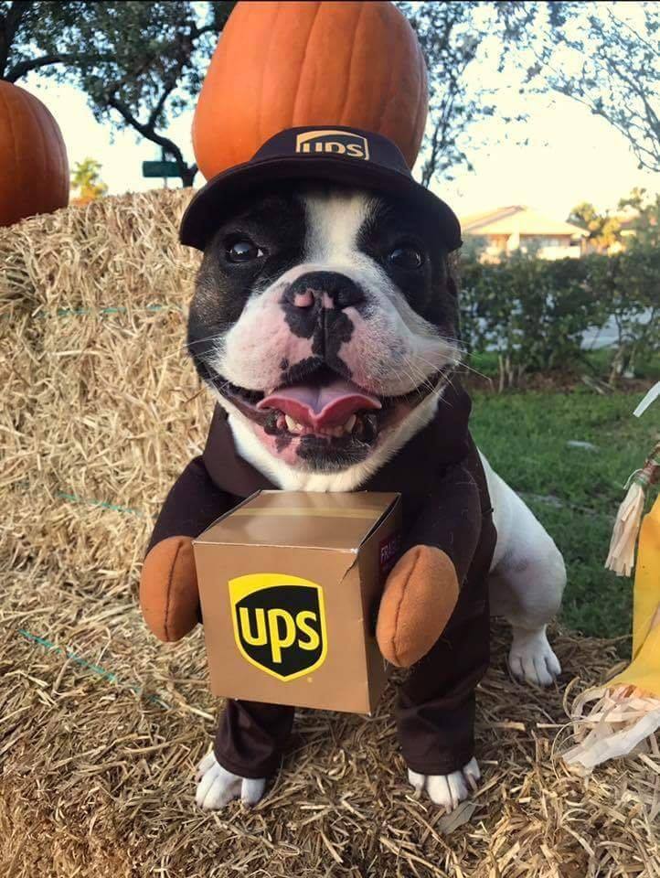 UPS Kenya