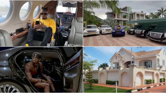 List of Properties and Businesses Owned by Diamond Platnumz
