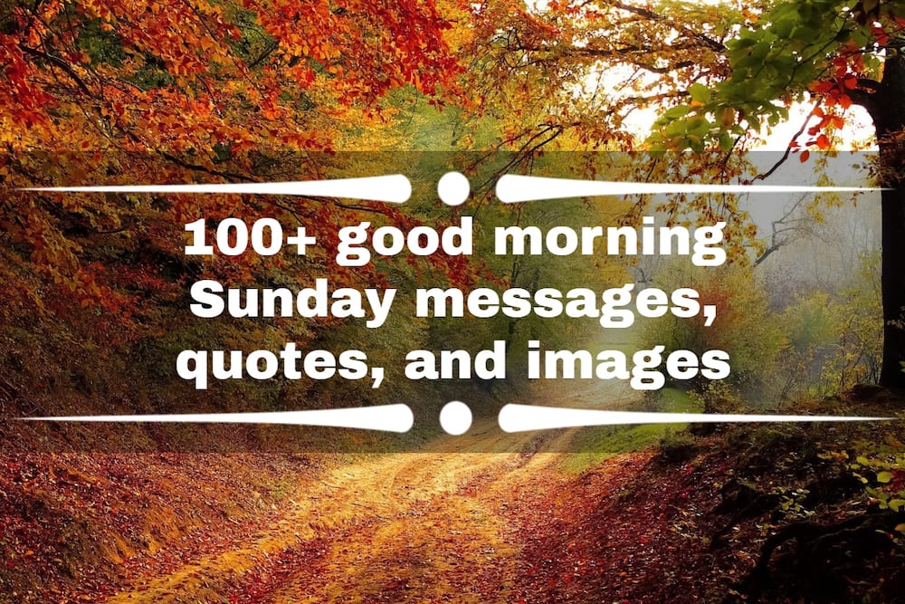 good morning Sunday messages