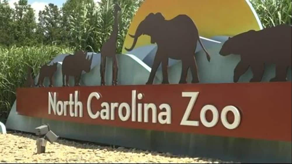 Largest Zoos in the world by area