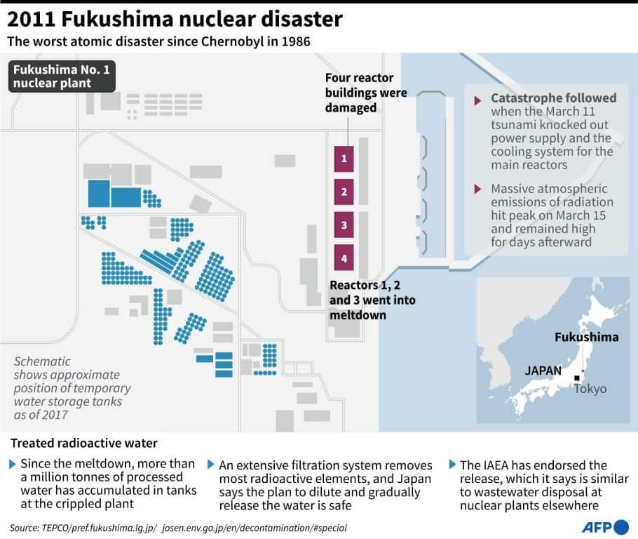 2011 Fukushima nuclear disaster