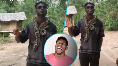 Video Shows Man In Fear Over Massive Snake Around His Neck: “Come And Remove It?”