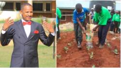 Babu Owino Defends CBC, Asks Gov't to Meet All Costs: "It's Very Practical"