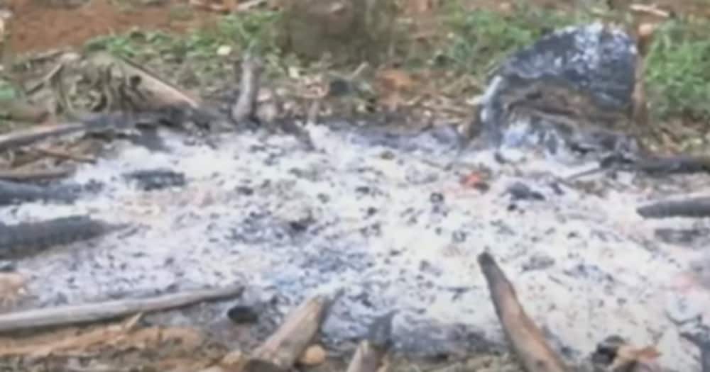 The hexadic burned several documents believed to be the documents they used to sell the parcel. Photo: NTV.