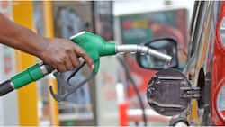 Kenyans Get Fuel Almost Tax Free, Petroleum PS Andrew Kamau