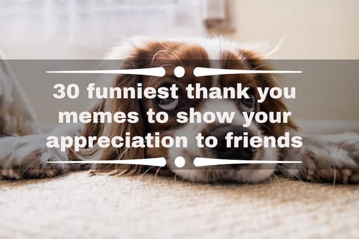 thank you friend funny