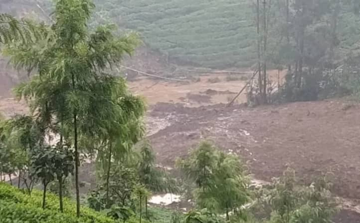 Over 2000 tea bushes swept away by landslide in Murang'a county