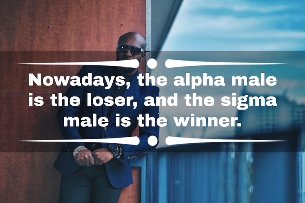 Sigma male quotes