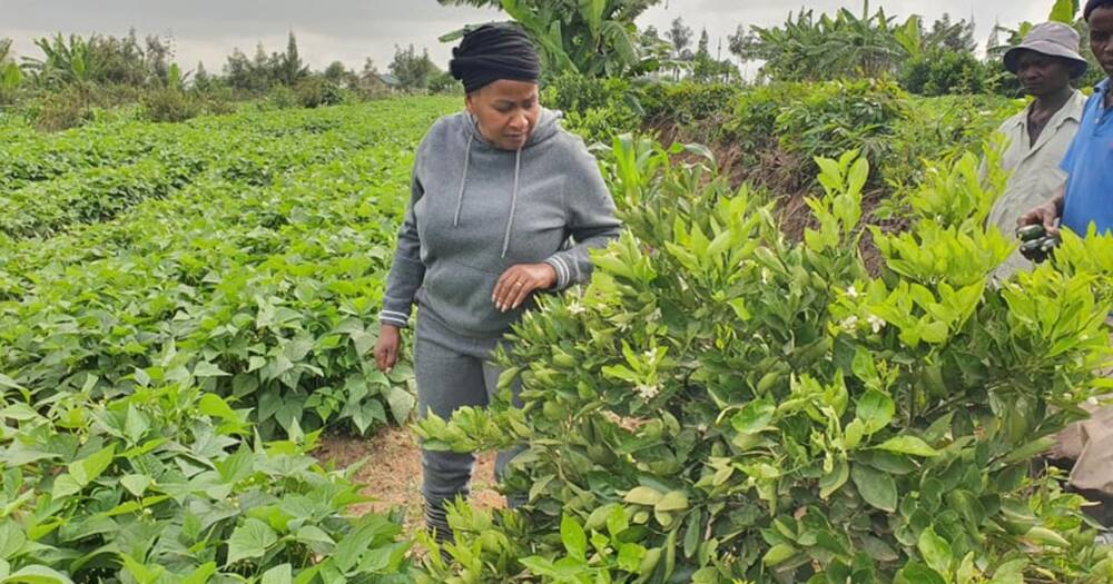 Wavinya Ndeti proud as she shows off her impressive farm: "Thank you Jesus"