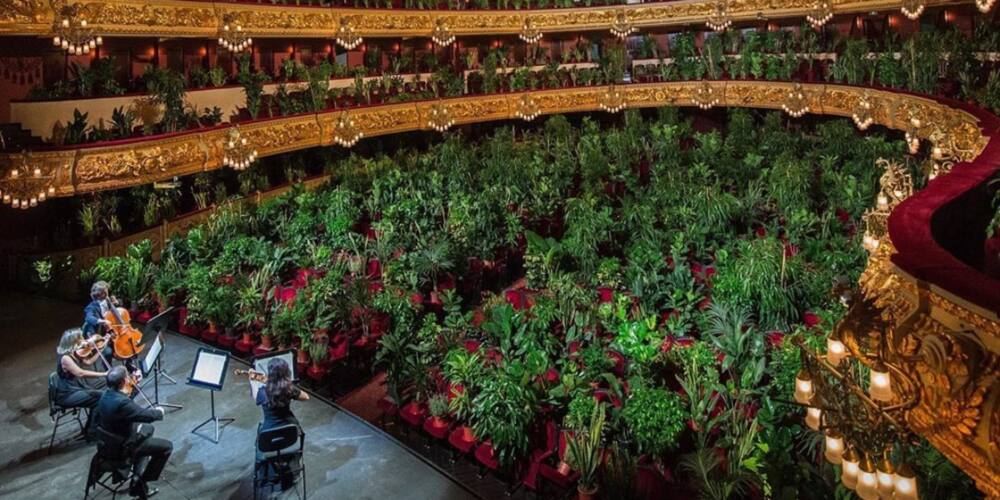 2,292 plants in Barcelona treated to 8-minute long first opera perfomance since lockdown