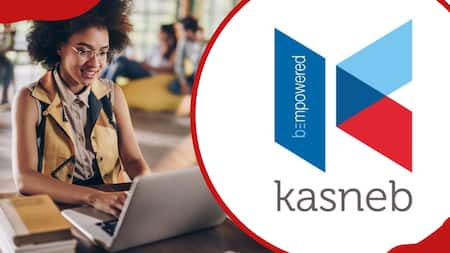 KASNEB courses offered in Kenya, requirements and fees