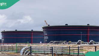 New Report Ranks Dangote Refinery Higher than 10 Biggest Refineries in Europe