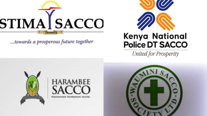 15 best Saccos in Kenya for savings and investment in 2023