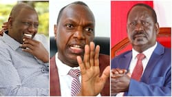 IEBC Whistle Blower Claims Raila Odinga Won August Polls with 8.1m Votes, Ruto 5.9m