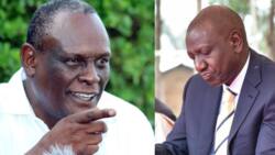 David Murathe Says Uhuru Kenyatta Would Have Sacked William Ruto if Not for Security of Tenure