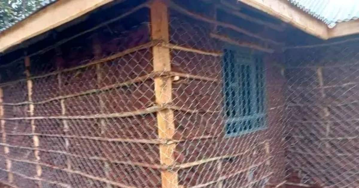 Murang a Kenyan Man Shows Off 3 Bedroom Semi Permanent House Which Cost KSh 450k Tuko co ke