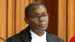 Justice Mugure Thande Who Slammed Brakes on Finance Act 2023 Transferred to Malindi