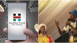 Kenyans React to Hustler Fund Loan Limit: "Nitafanyia Nini Mia Tano"