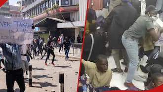 DCI Shares Photos of Kenyans Caught on Camera Looting Shops during Protests: "Do You Know Them?"
